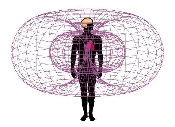 toroidal-humano1